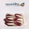 RADICCHIO TREVISO