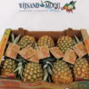 ANANAS 7 STUKS