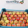 APPELS FUJI MAAT 17.5 KG