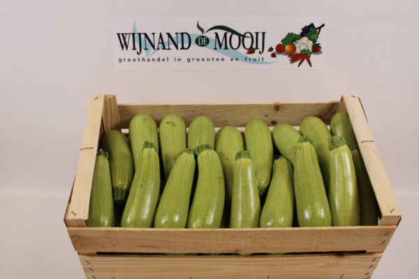 COURGETTE WIT 10,5 KG