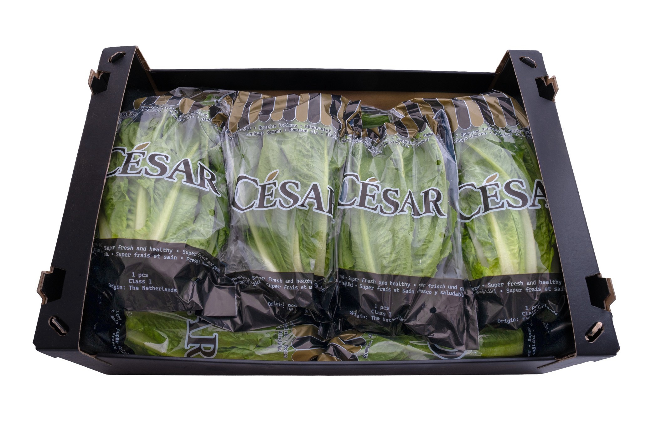 ROMIJNSE SLA 10 STUKS FLOW PACK (CESAR)