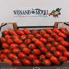 TOMAAT SAN MARZANO 6 KG