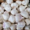 KNOFLOOK NL 5 KG LOS DROOG